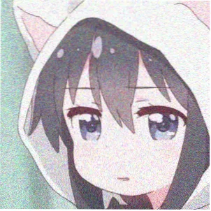 会员用户